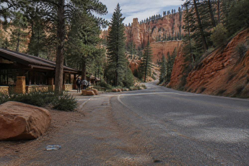 Red rock cliffs and pine forest along a scenic highway in southern Utah