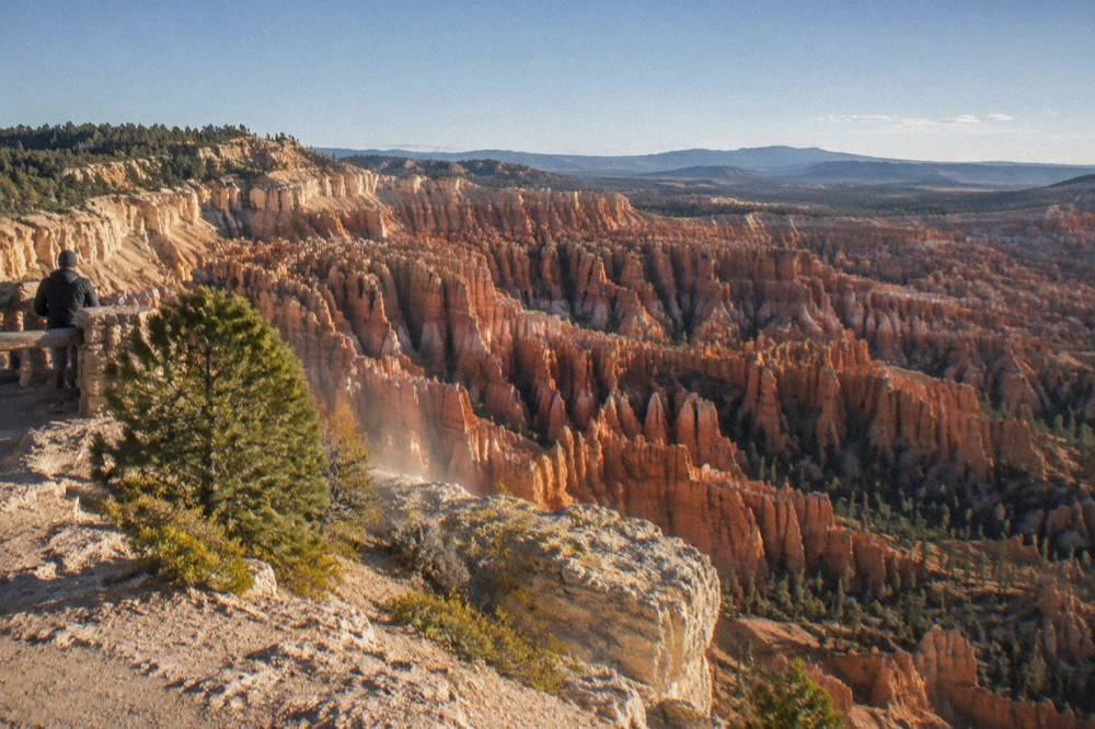 Layered orange hoodoo formations filling a wide canyon amphitheater