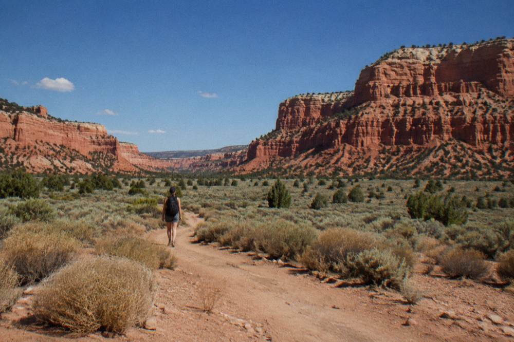 Wide desert valley with mesa walls under an open blue sky