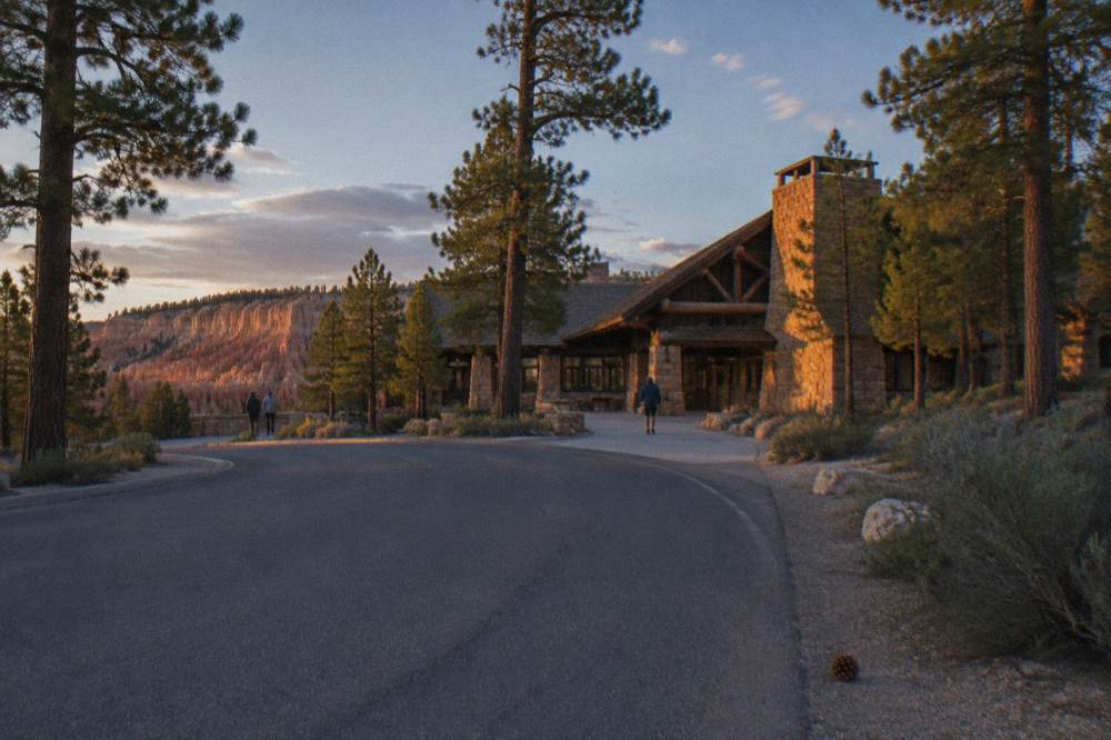A wide asphalt park road winding through tall ponderosa pines toward a distant overlook