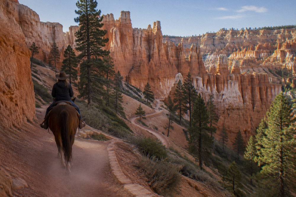 A horse and rider on a red dirt trail through ponderosa pines toward orange rock cliffs
