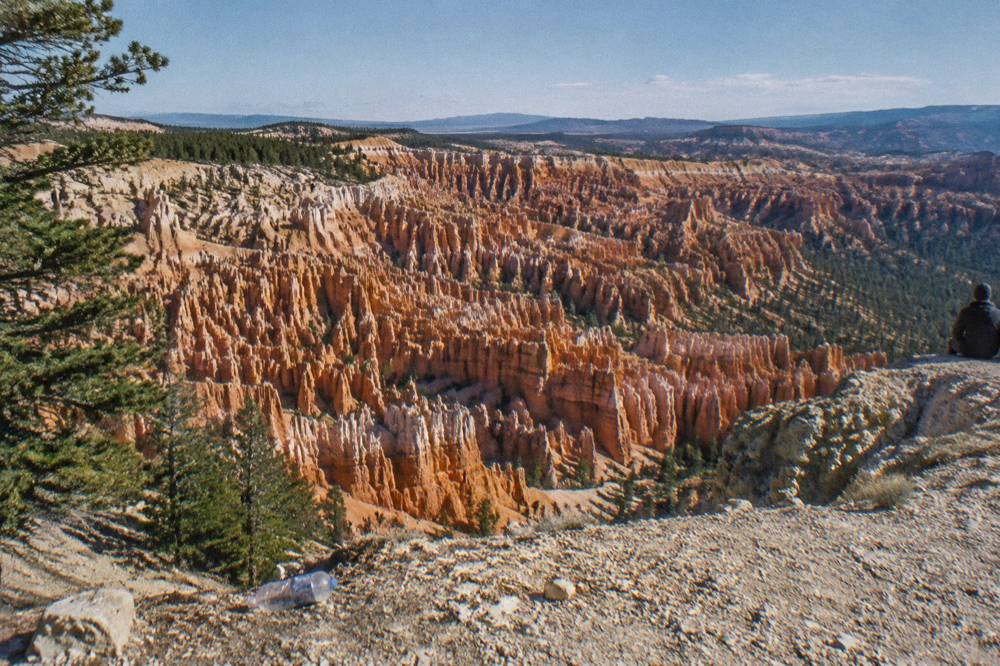 Layered pink and orange hoodoo formations filling a wide amphitheater under a clear sky