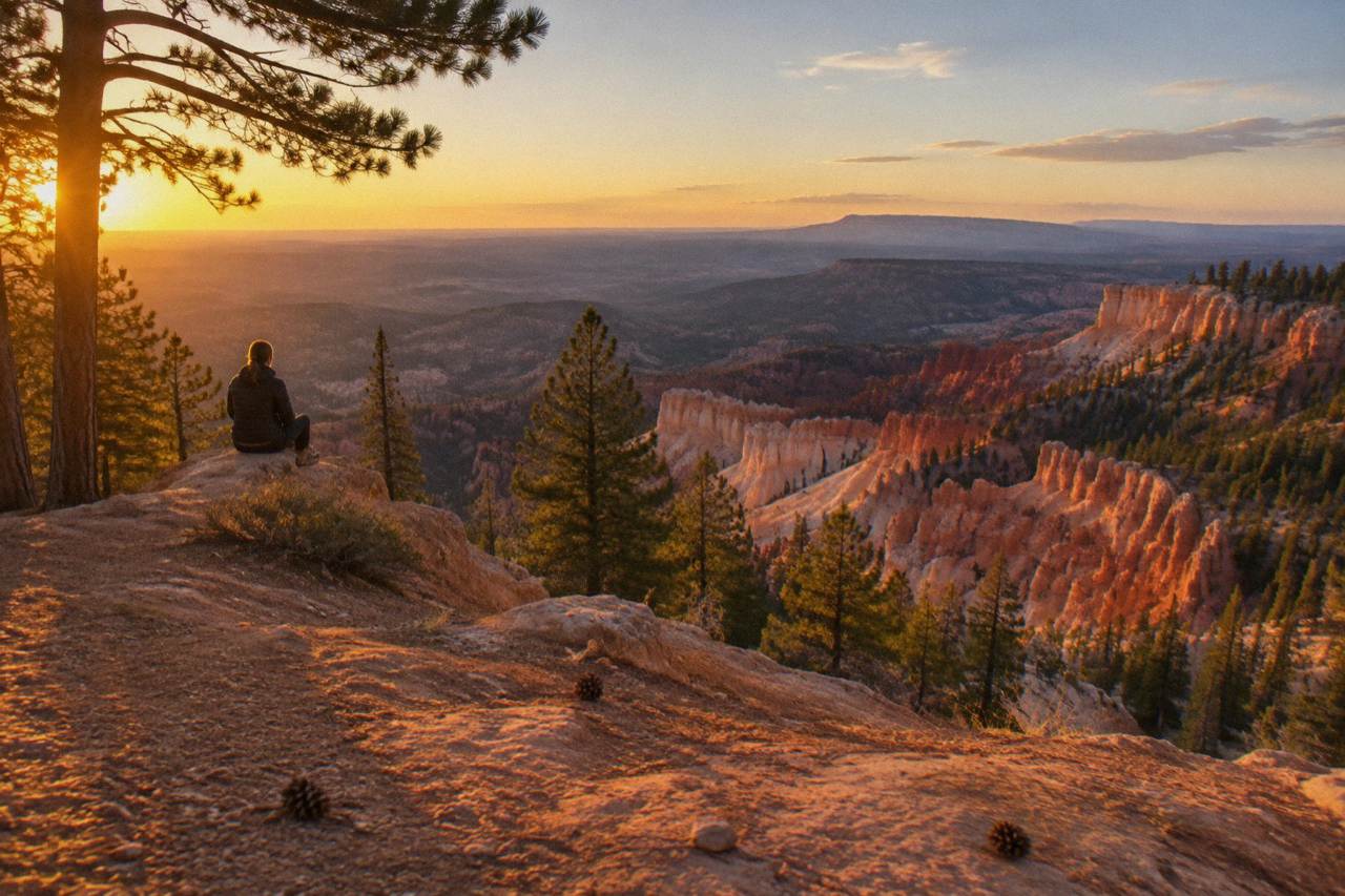 Red rock cliffs rising above a forested canyon plateau in southern Utah at golden hour