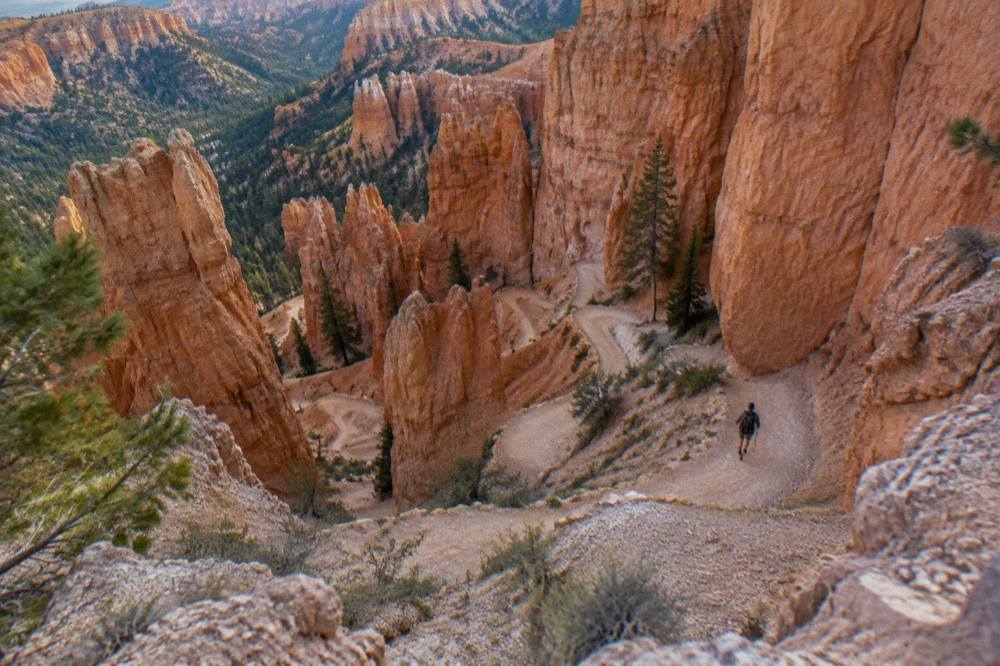 Switchback trail descending between tall red rock walls in a canyon amphitheater