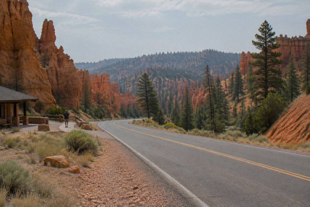 A two-lane road curving through red rock formations toward a pine-covered plateau