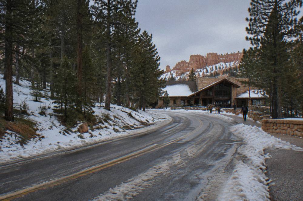 Two-lane highway rising through pine forest toward a high plateau