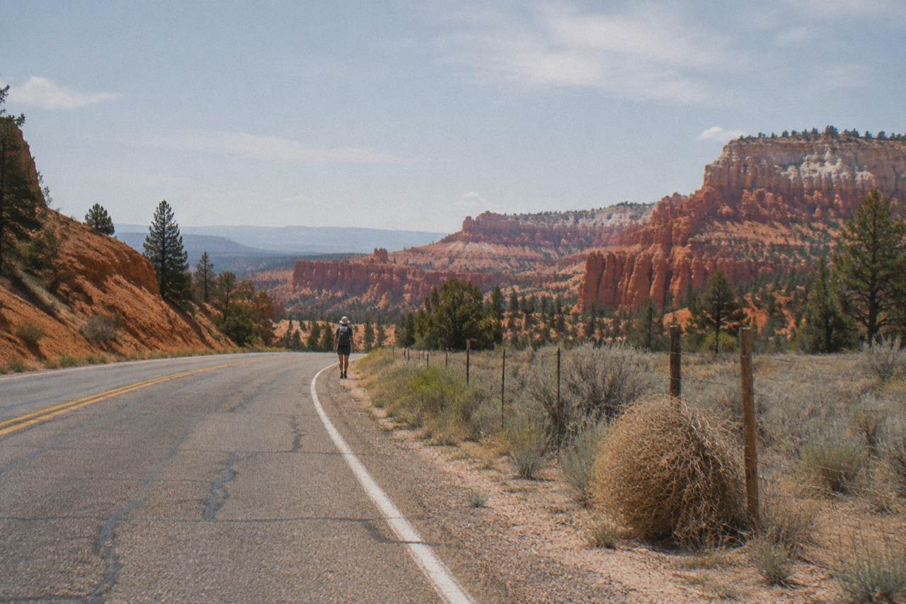 Open desert highway curving toward red rock plateaus under a wide sky