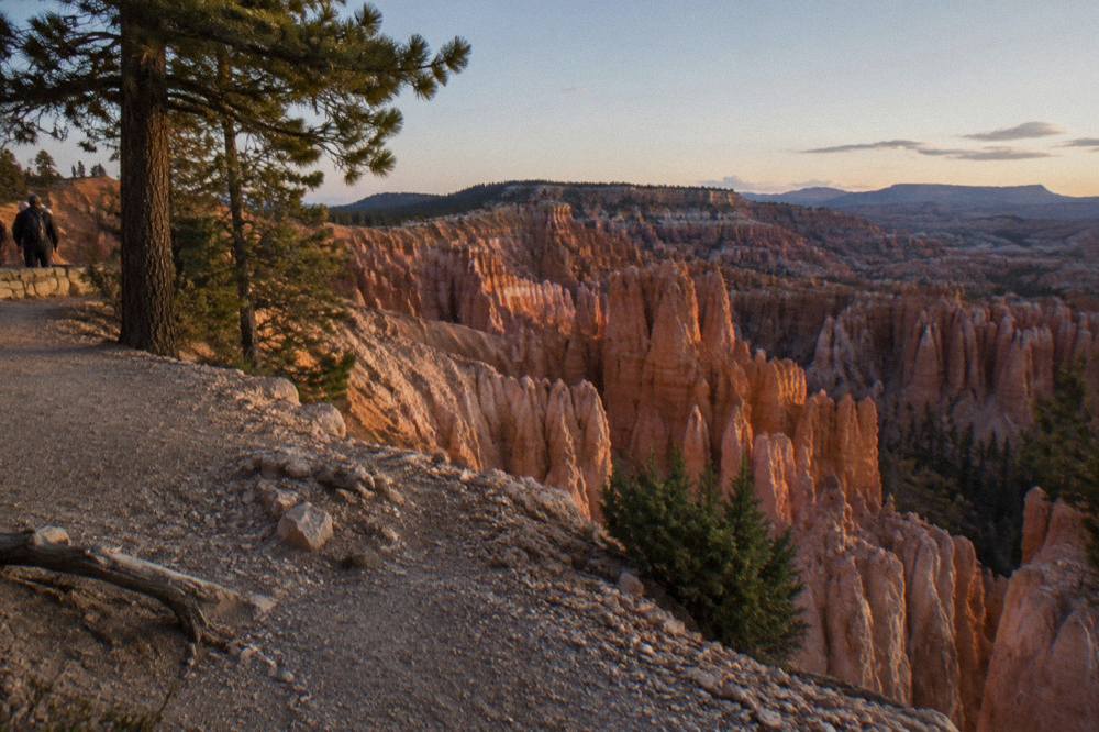 Layered orange hoodoo formations filling the Bryce Amphitheater under morning light