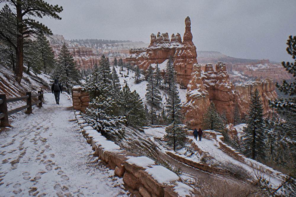 Snow-dusted red rock spires and green pines along the canyon rim in cold weather