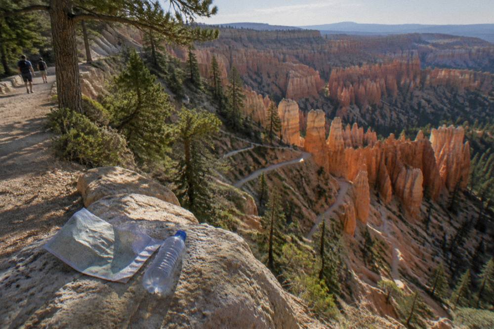 Hoodoo formations rising from the canyon floor under morning light