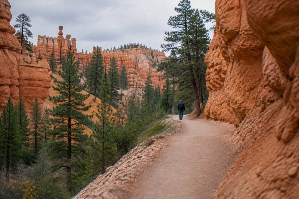 A horseback riding trail winding between tall orange rock cliffs in a pine forest