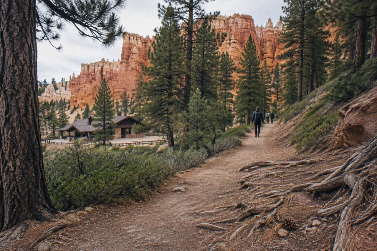 Red rock canyon walls above a pine forest trail near Bryce Canyon