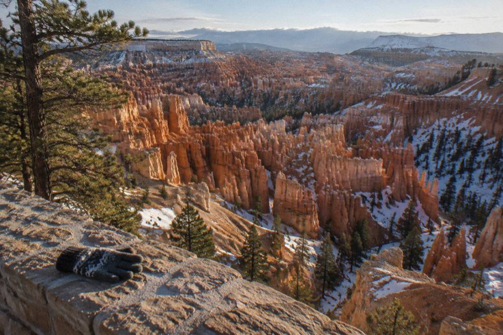 Rows of orange hoodoo spires filling the Bryce Amphitheater below a pine-dotted rim