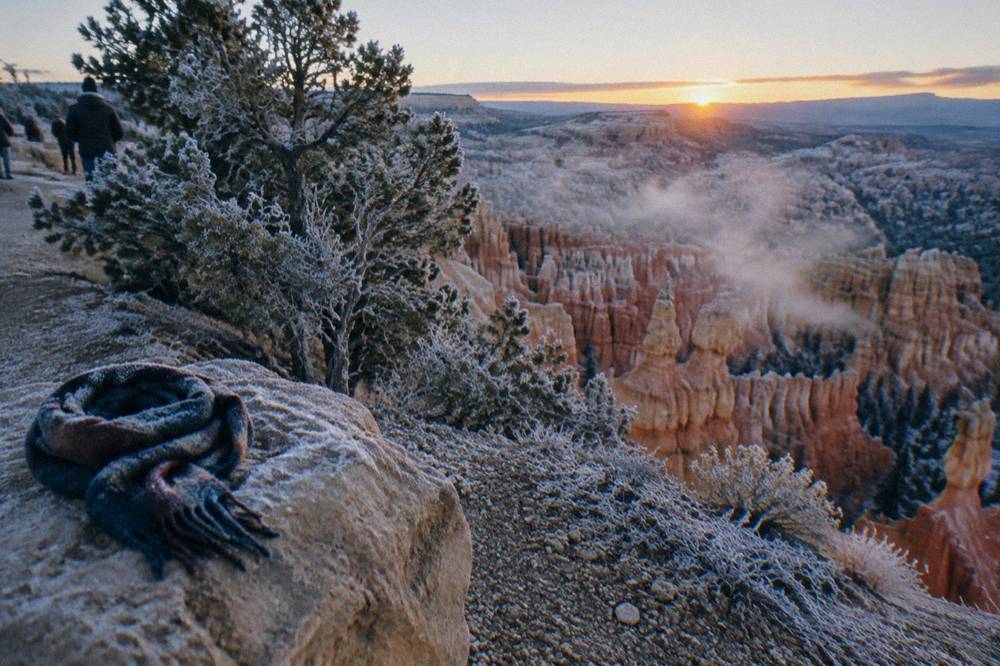 Frost-covered juniper trees along the rim of Bryce Canyon at dawn