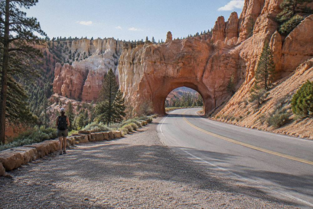 A two lane desert road curving toward towering orange and cream sandstone cliffs in bright afternoon light