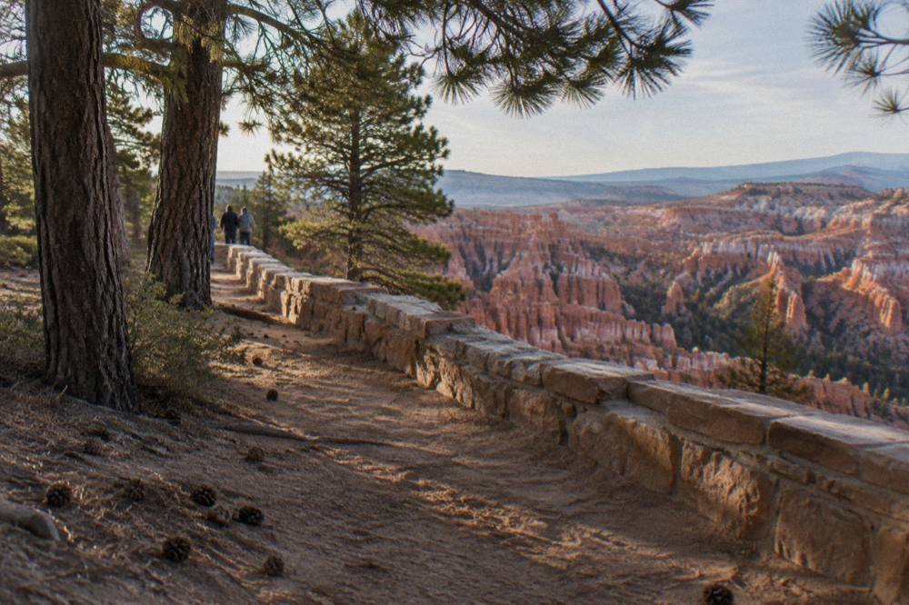 Pine forest and red rock hoodoos along the rim trail near Sunrise Point in morning light