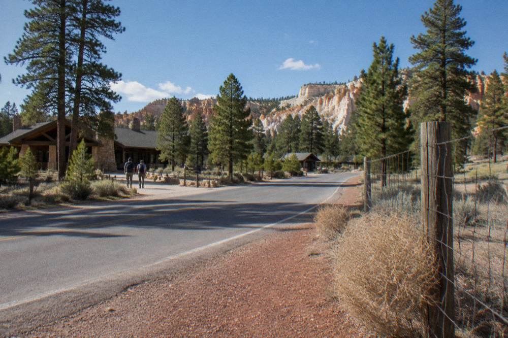 Scattered ponderosa pines and pale rock formations under a wide blue sky near the park entrance road