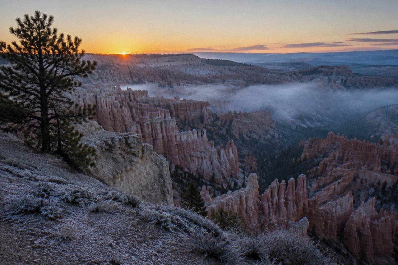 Dawn light over hoodoo formations in the Bryce Amphitheater seen from the canyon rim