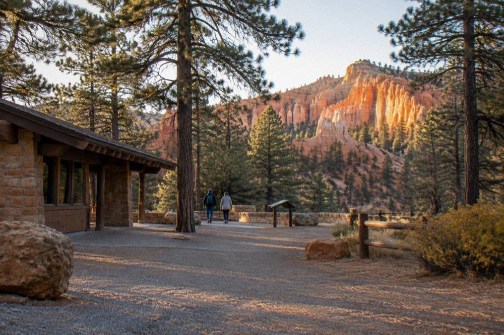 A pine forest trail outside the park rim with red rock cliffs glowing in low afternoon light