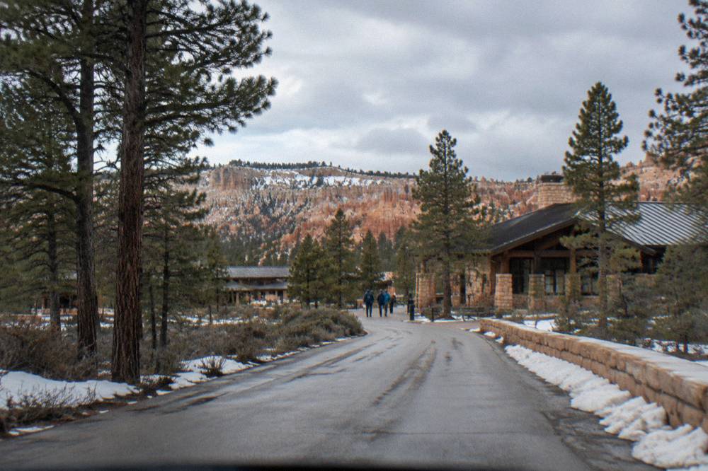 Winding two lane road climbing through pine forest toward a high plateau