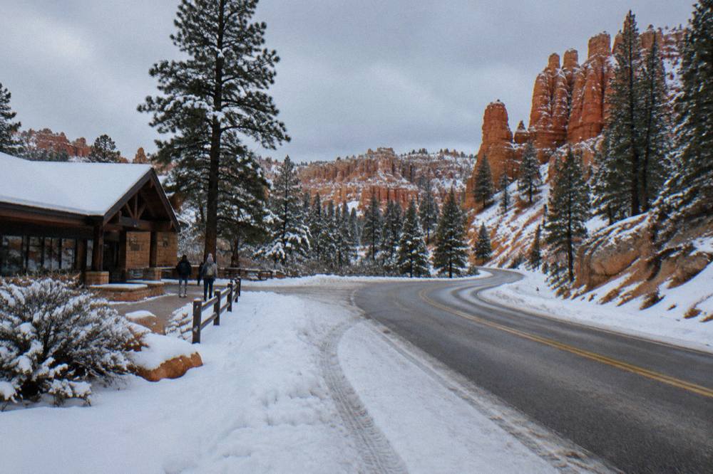 A two-lane highway curving through pine forest and red rock terrain in southern Utah