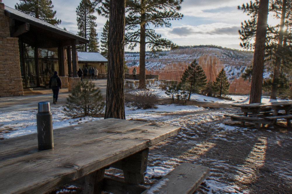 Wooden picnic tables set among pine trees near the Bryce Canyon rim