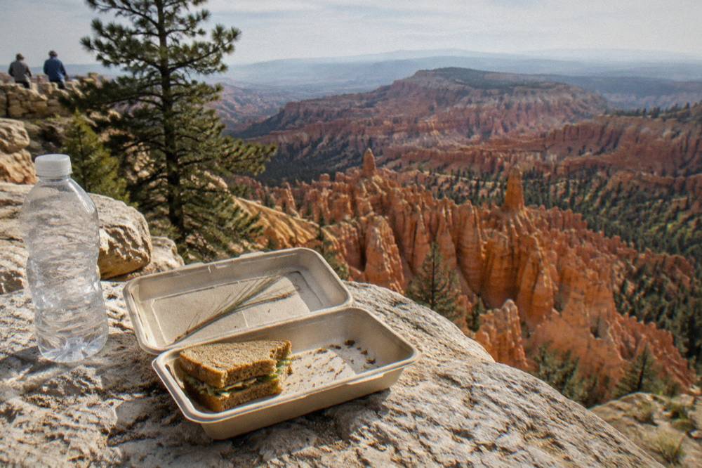 Open sandwich box and water bottle resting on a rock ledge overlooking red rock spires