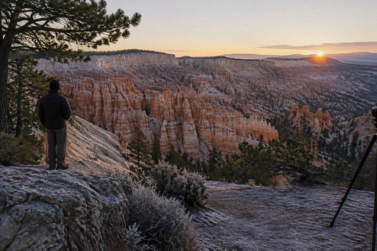 Wide view of hoodoo formations glowing under morning light along the Bryce Amphitheater rim