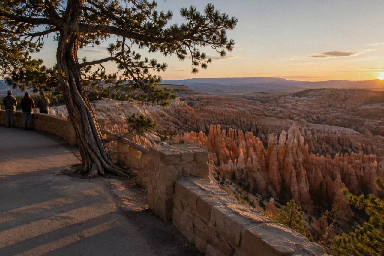 Sunlit hoodoos of the Bryce Amphitheater seen from a paved overlook at golden hour