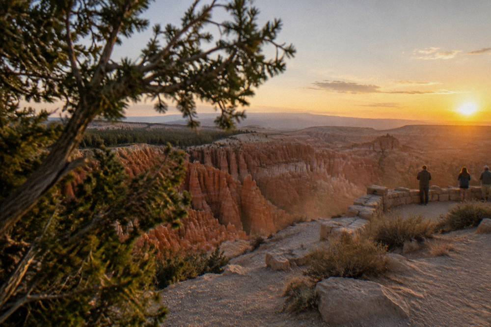 Sunset light on layered hoodoo columns seen from an overlook along the Bryce Canyon rim