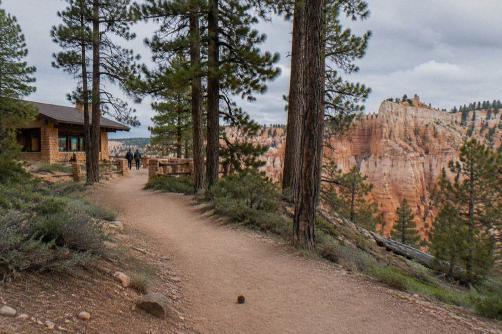 Pine forest and pale rock formations along a quiet trail near the Bryce Canyon rim