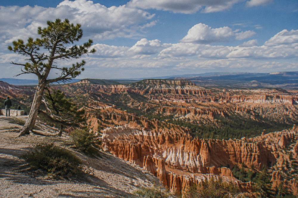 An open red rock canyon with layered hoodoo formations under a wide afternoon sky