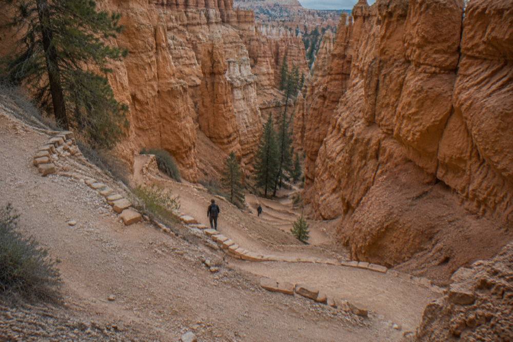 Switchback trail descending between tall hoodoo walls below the rim