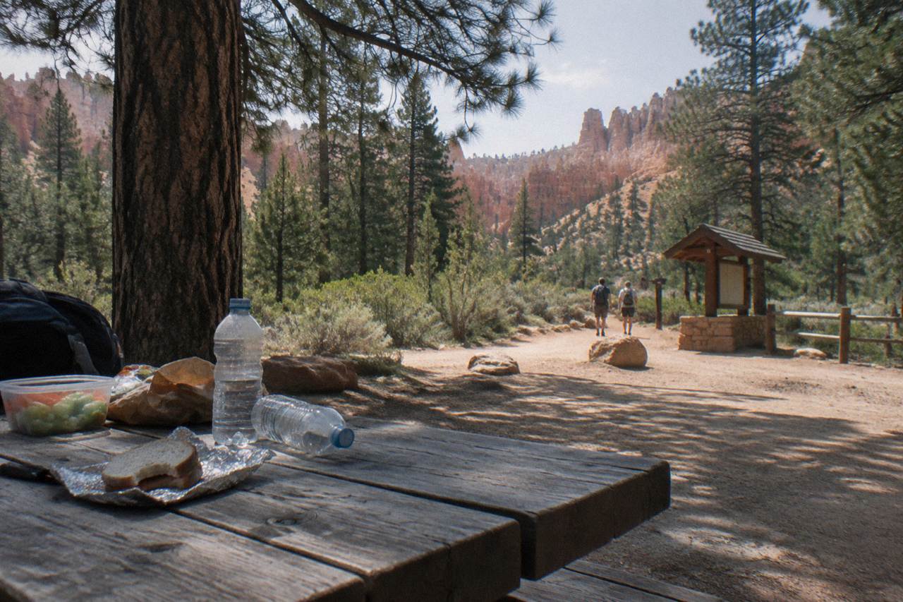 A picnic table at a forested overlook near the Bryce Canyon rim with a packed lunch and water bottles