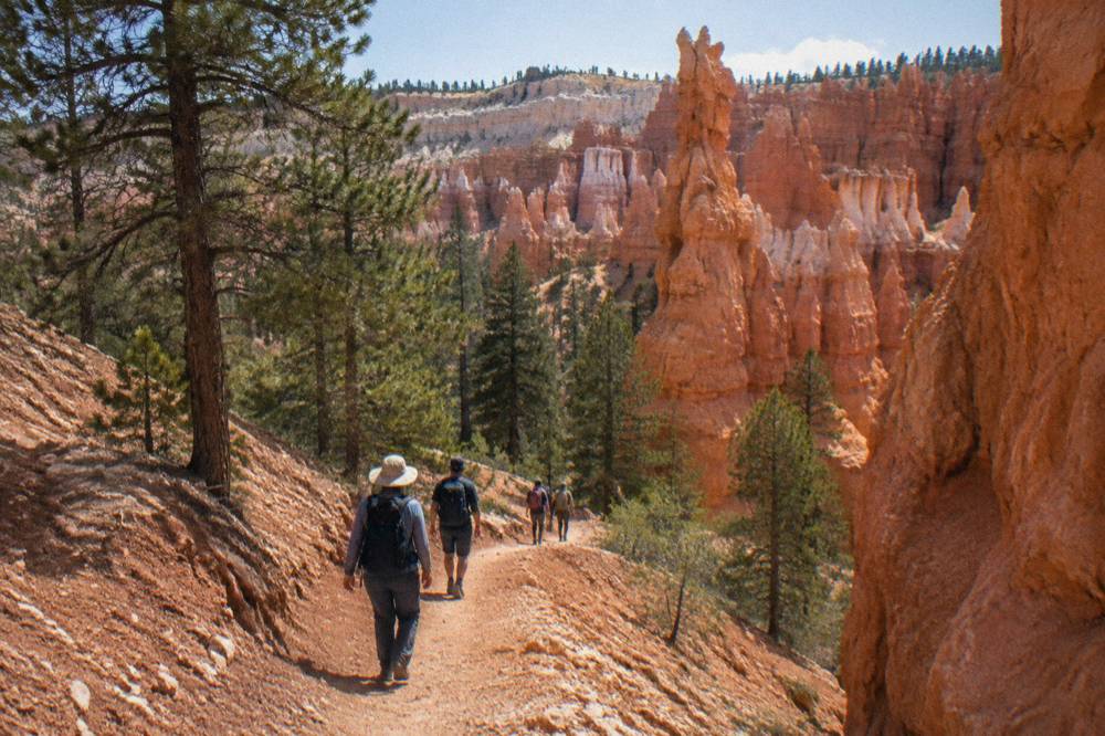 Guided hiking group on a red rock trail below the canyon rim