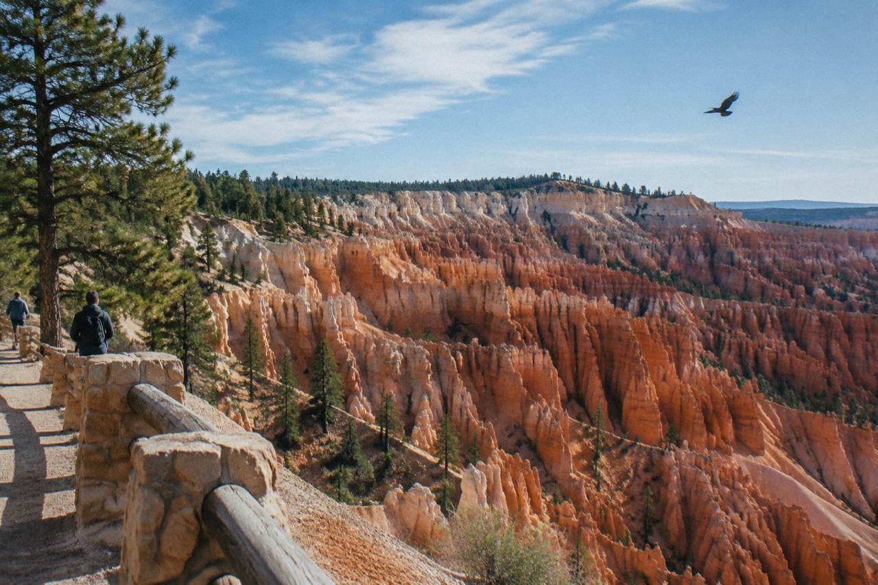 Red rock hoodoos of the Bryce Amphitheater under a bright morning sky