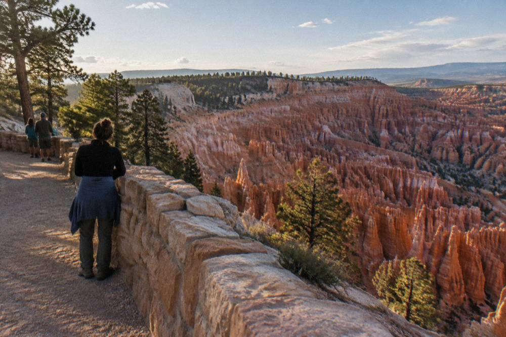 A rim overlook above a wide amphitheater filled with stone pillars and green pines