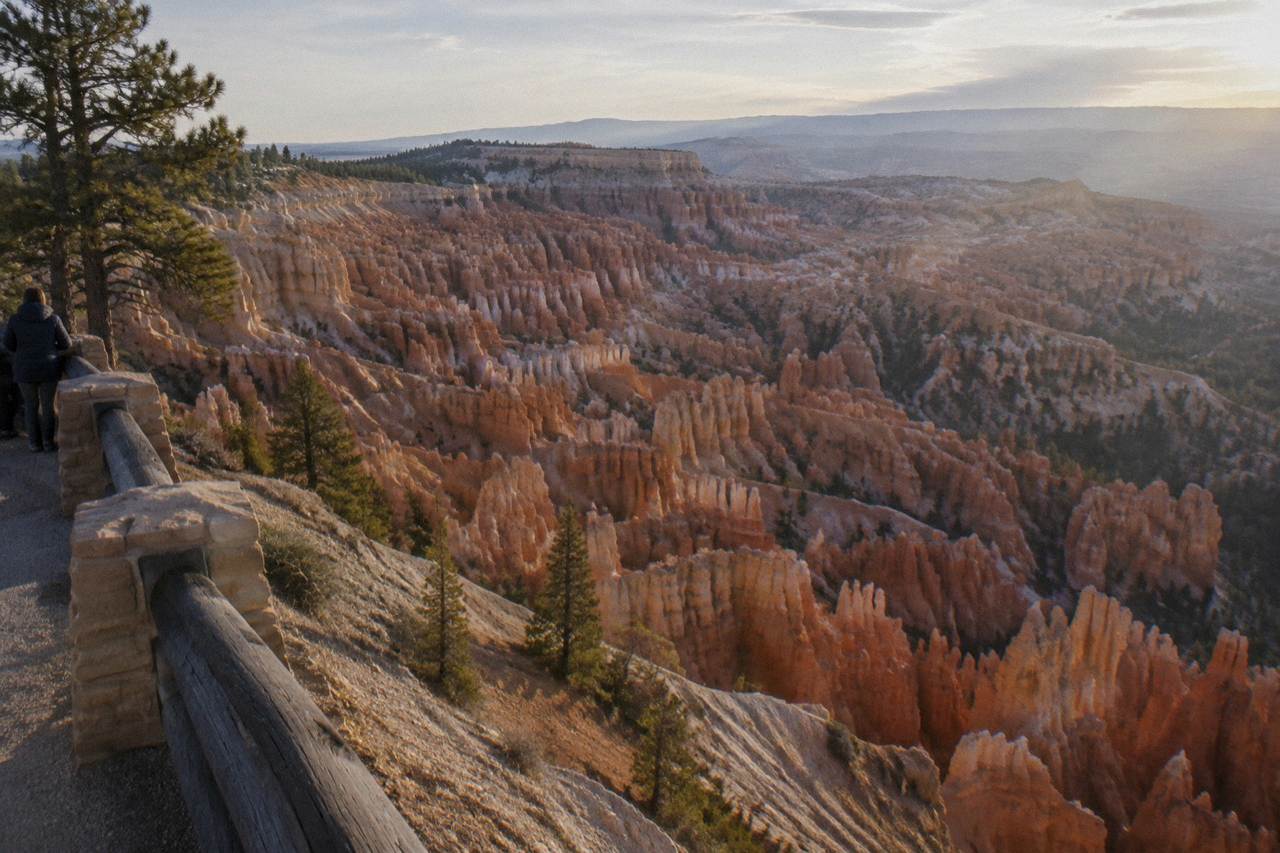 Rows of tall orange rock pillars standing in an amphitheater below a pine-covered rim at Bryce Canyon