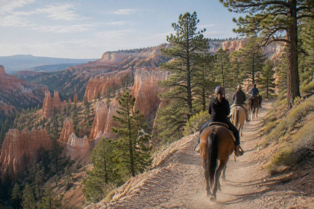 Riders on horseback following a trail through red rock formations in a pine forest