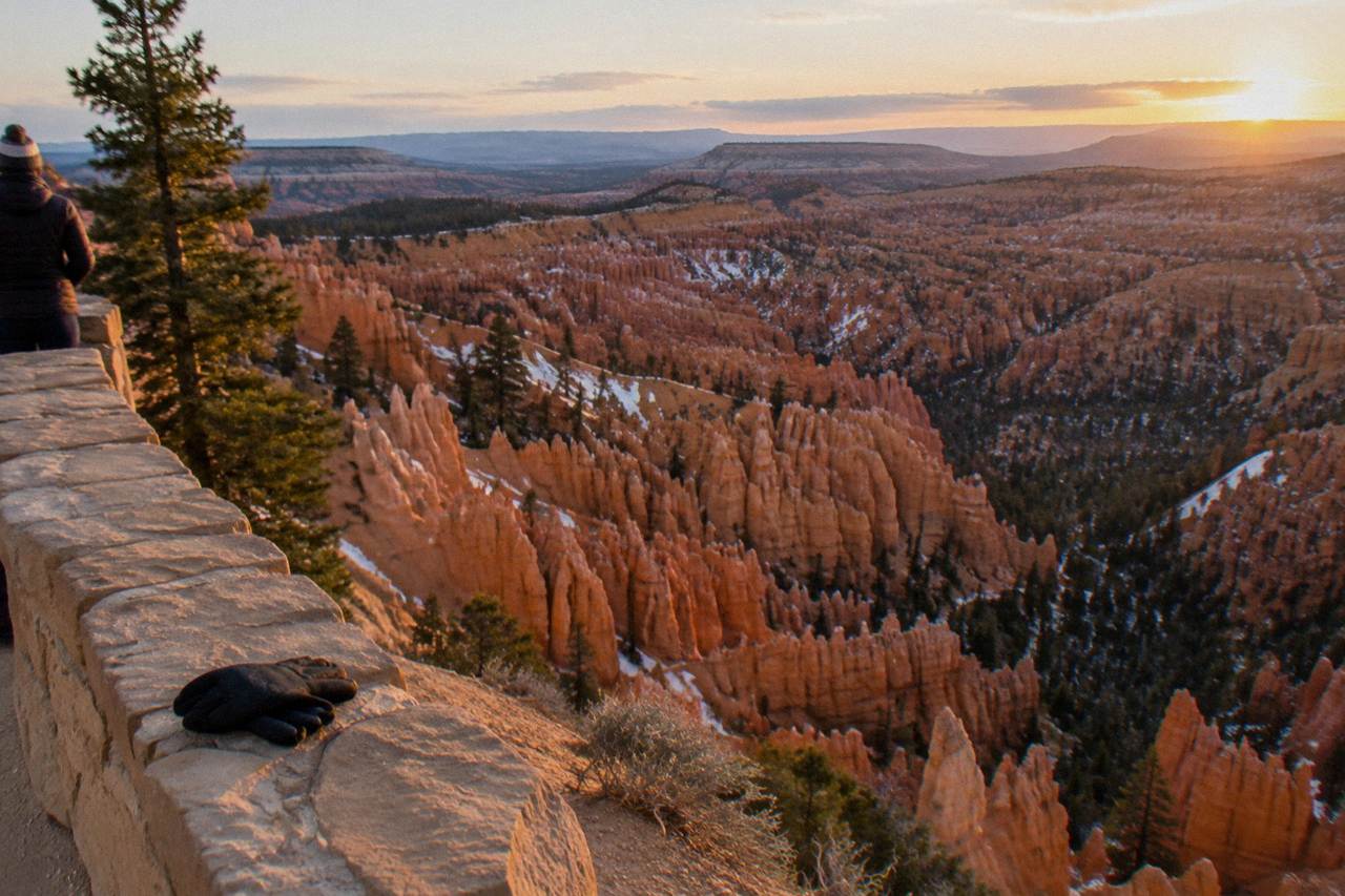 Sunlit hoodoos of the Bryce Amphitheater seen from a rim overlook