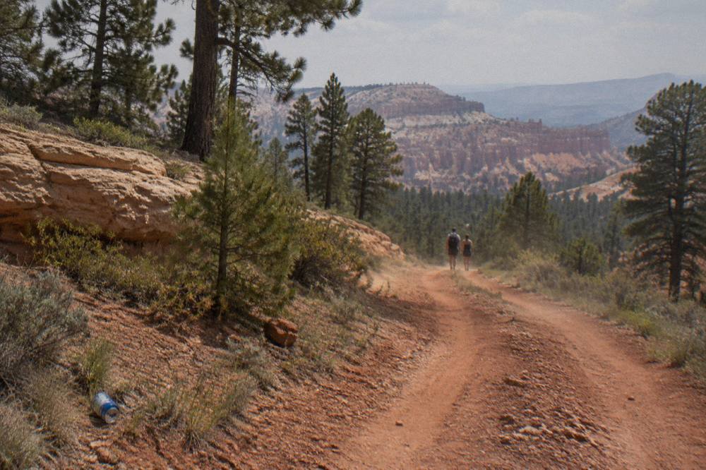 Dirt two-track winding between red rock ledges and pine trees