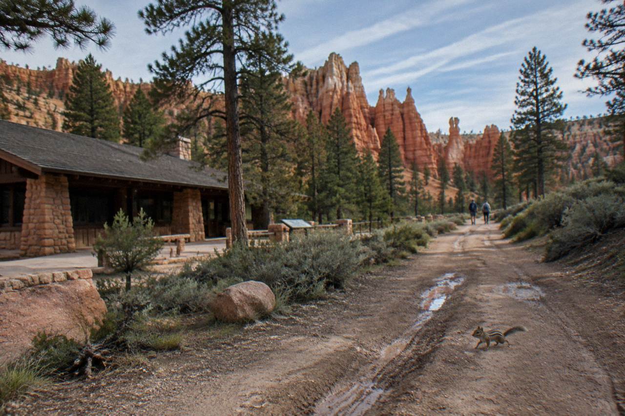 Red rock buttes and pine forest along a dirt trail near Bryce Canyon