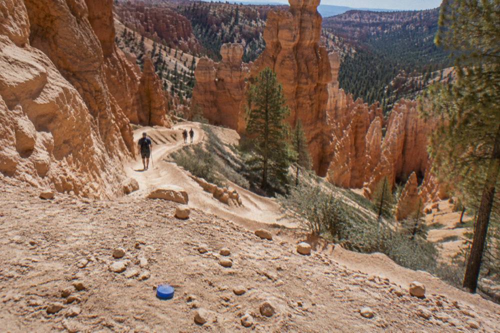 Winding trail descending among tall orange hoodoos toward the canyon floor