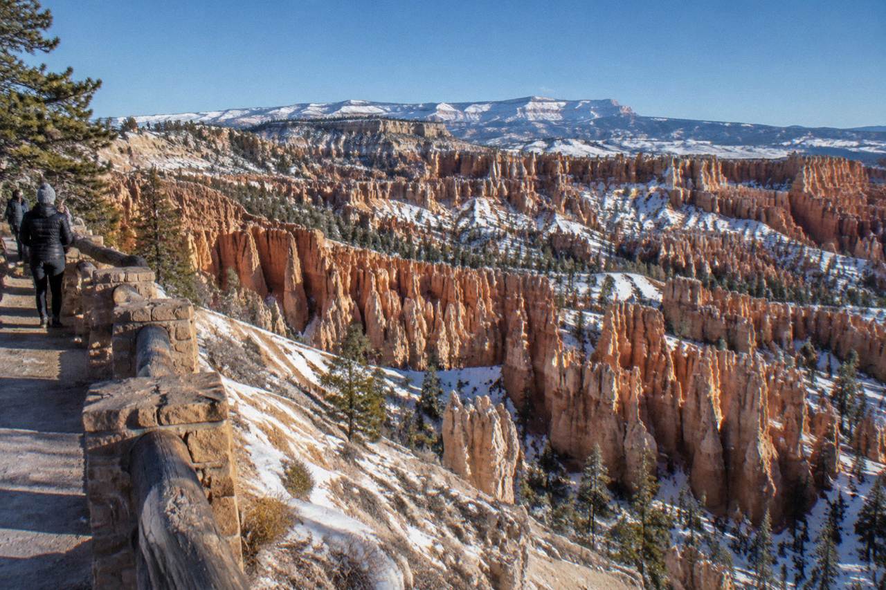 Red rock hoodoos of the Bryce Amphitheater rising below a high desert plateau rim