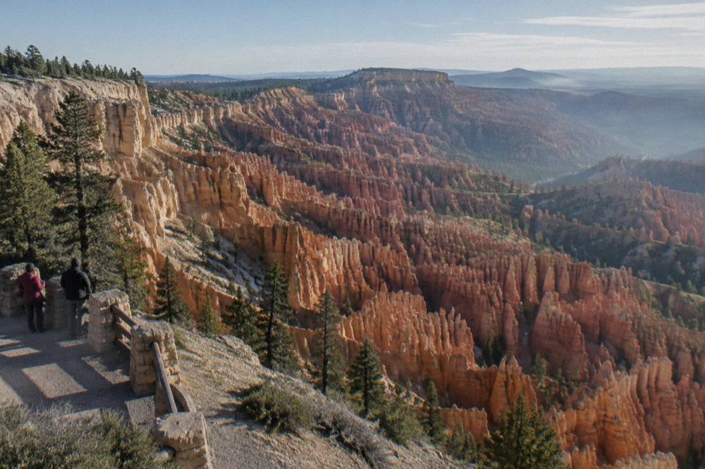 Wide view of orange rock hoodoos filling a natural amphitheater below a pine dotted rim