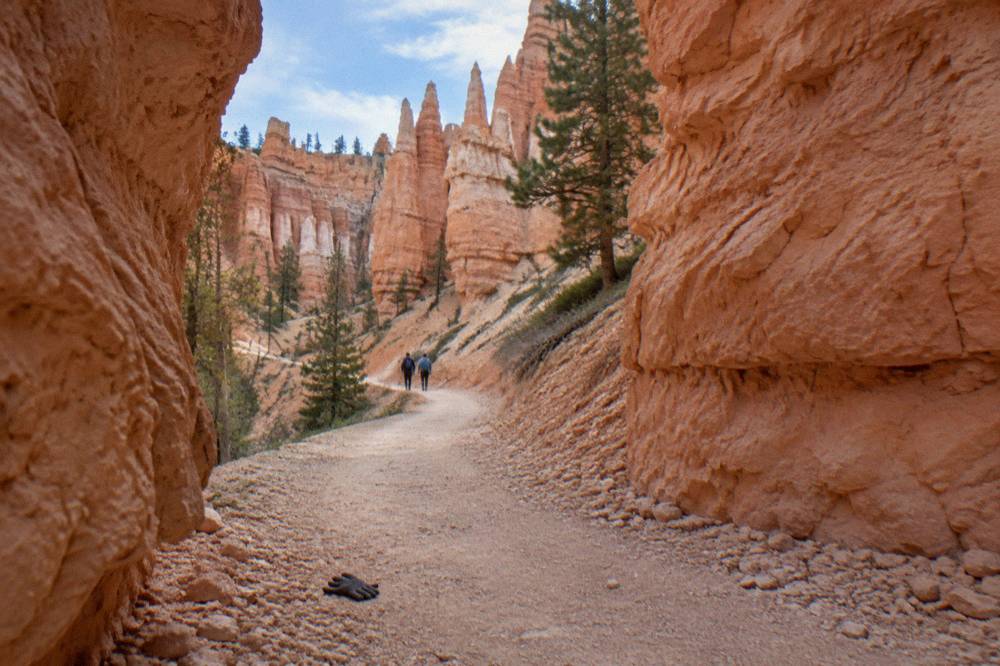 A dirt trail winding between tall red rock walls in a forested canyon
