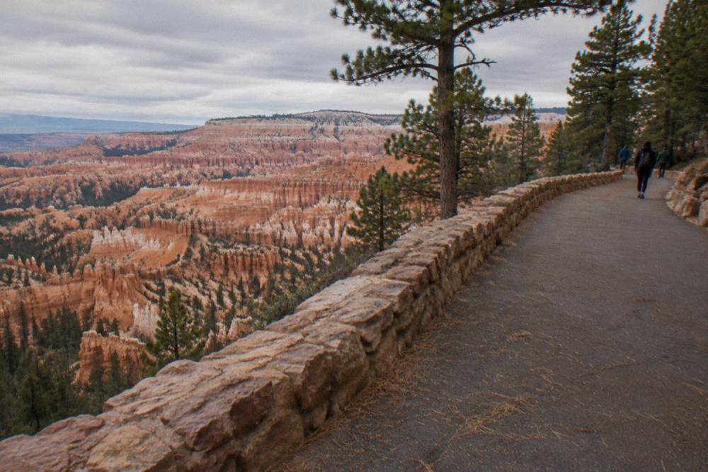 A paved rim trail curving along the edge of a canyon with layered rock spires below
