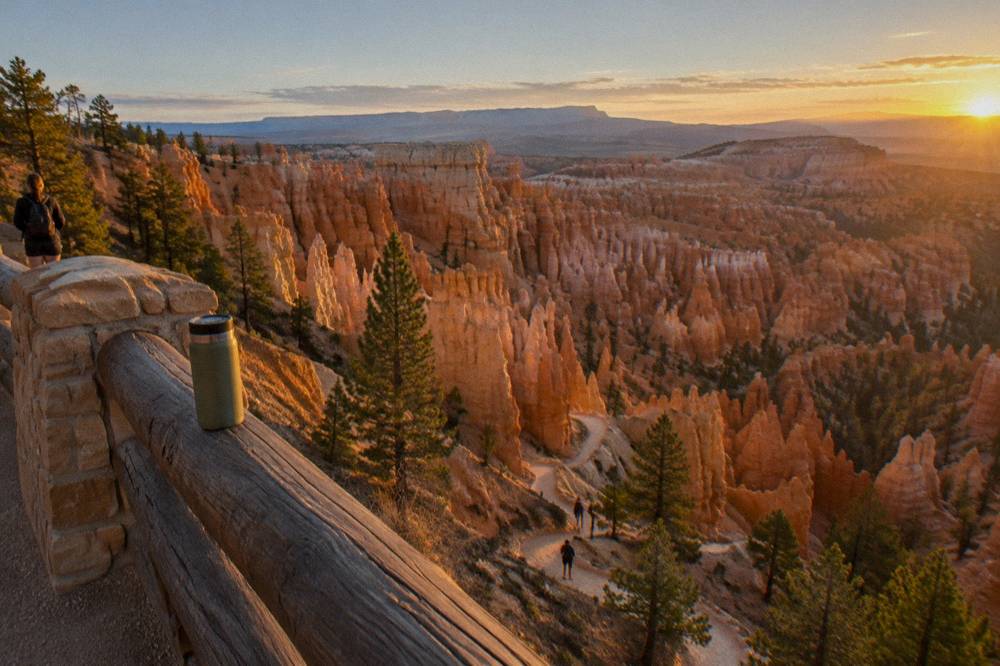 Morning light on rows of stone hoodoos seen from a canyon rim overlook