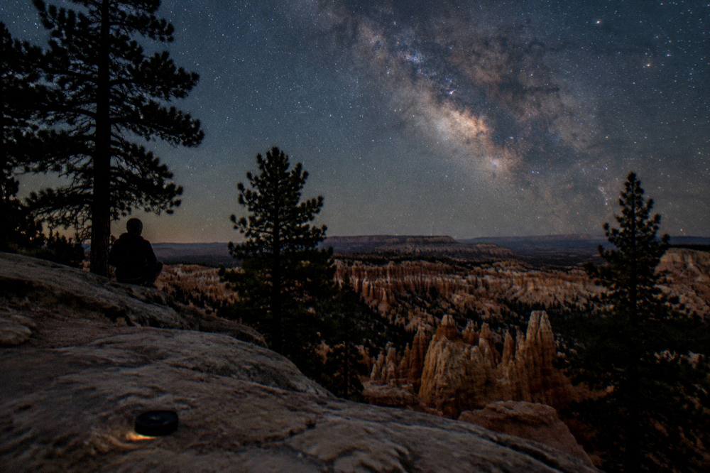 A night sky filled with stars above a dark canyon rim and silhouetted pine trees