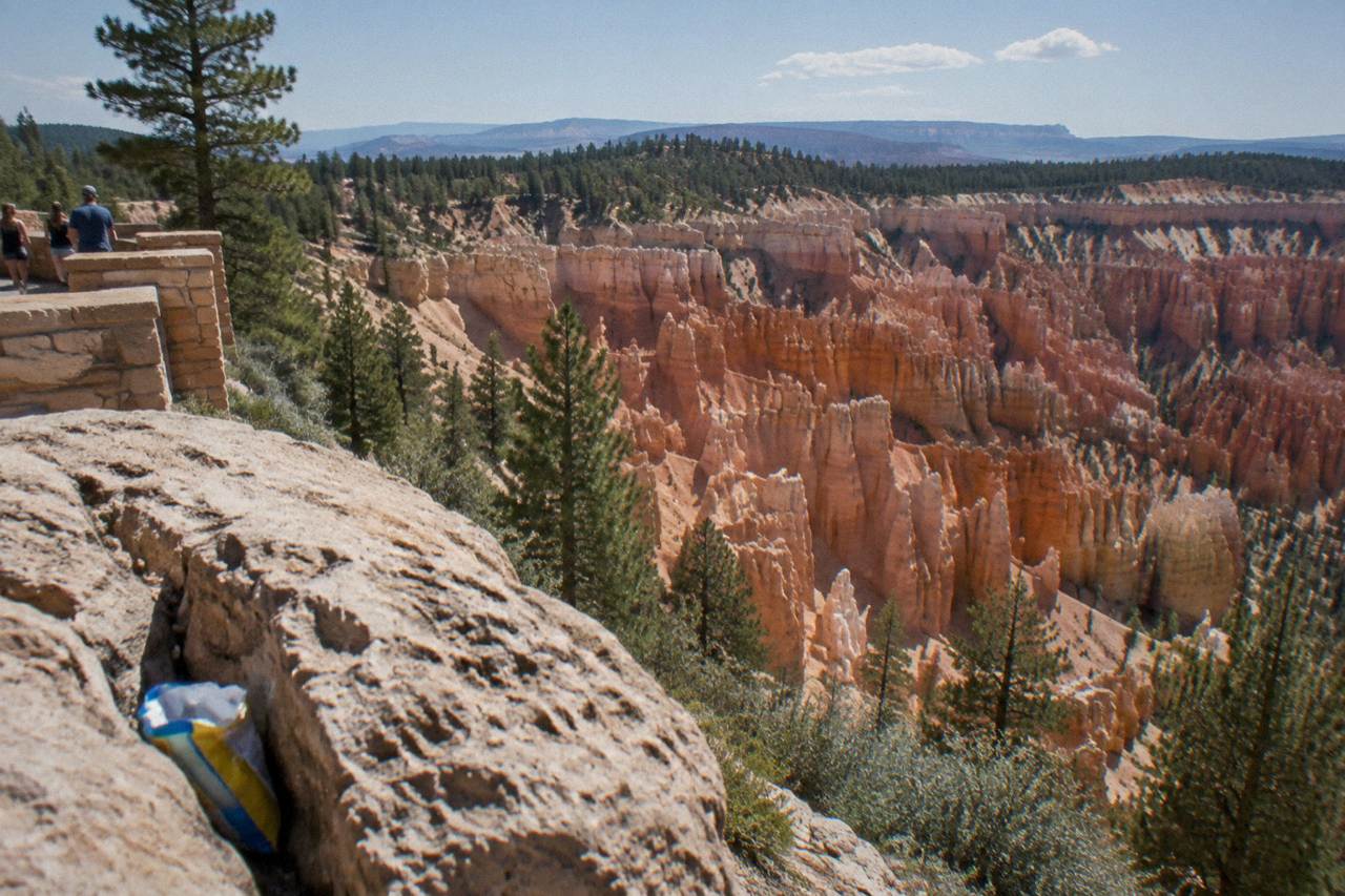 Sunlit orange hoodoo formations rising below a pine covered rim at Bryce Canyon